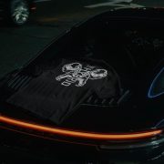 Primal Mark - Image 3